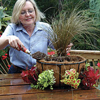 Planting your Basket – Green Walls | Vertical Gardens | Side Planting ...